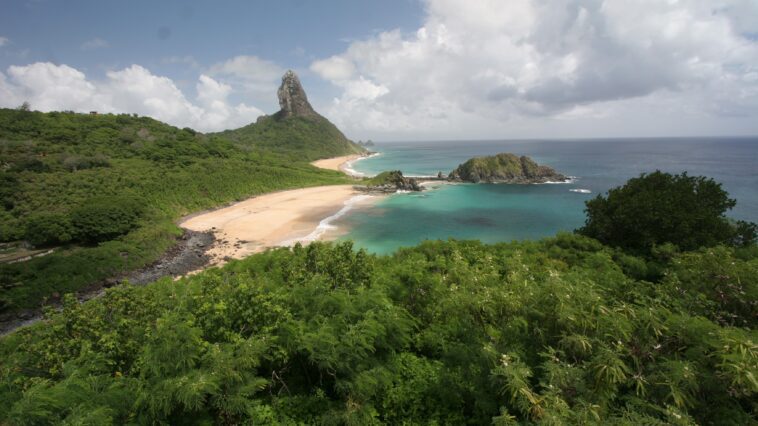 love noronha 11