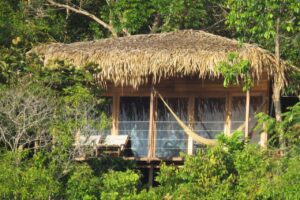 Alta Vista Amazon Lodge Manacapuru 2