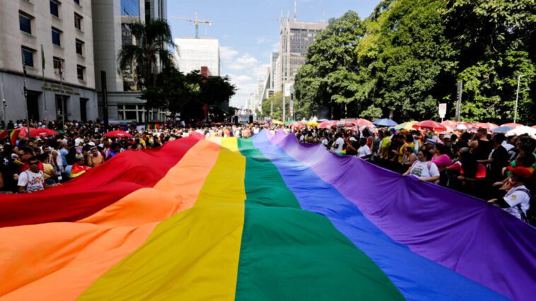 cidadedesaopaulo.com 28a parada do orgulho lgbt de sao paulo parada lgbt 110623 josecordeiro 0111 1024x683 1