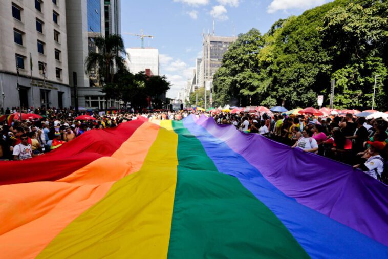 cidadedesaopaulo.com 28a parada do orgulho lgbt de sao paulo parada lgbt 110623 josecordeiro 0111 1024x683 1